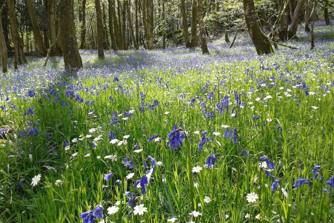 Photo of Others in Broughton Mills