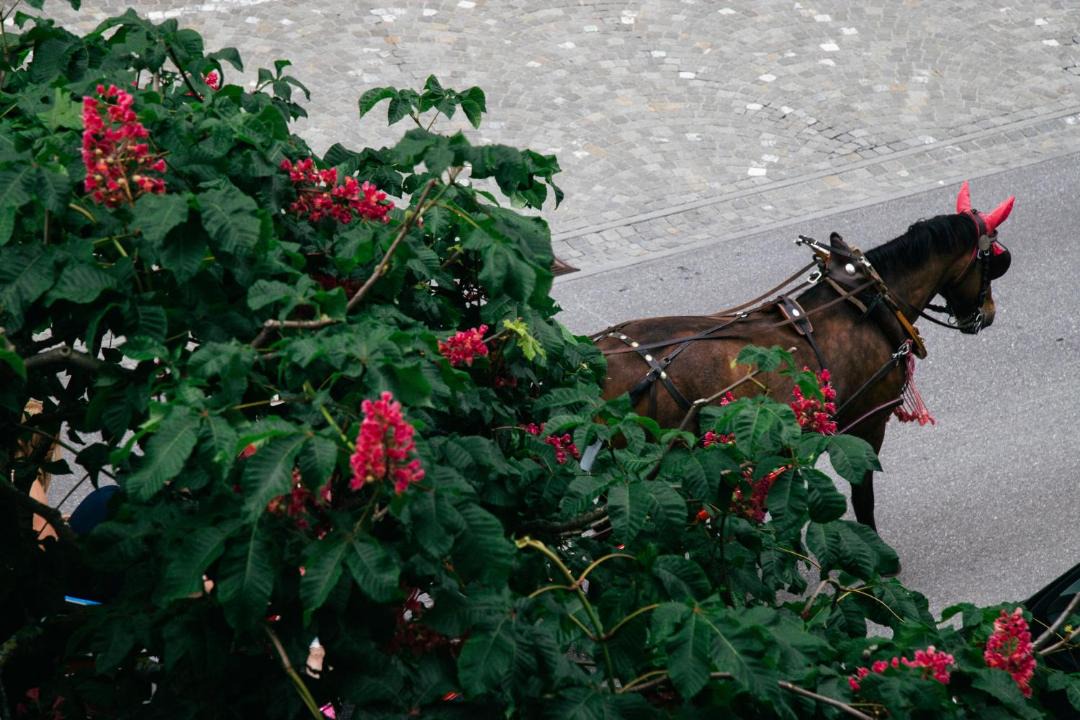 Photo of Others in Unterseen
