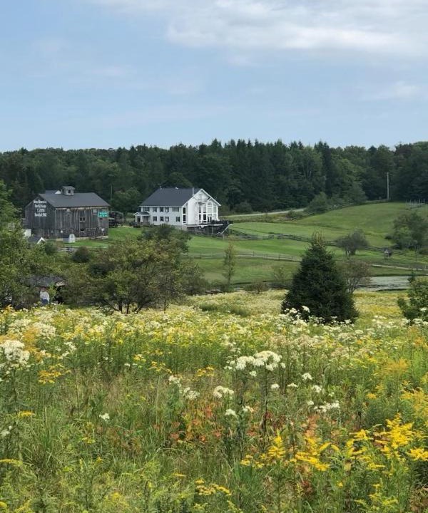 Photo of Others in Redfield