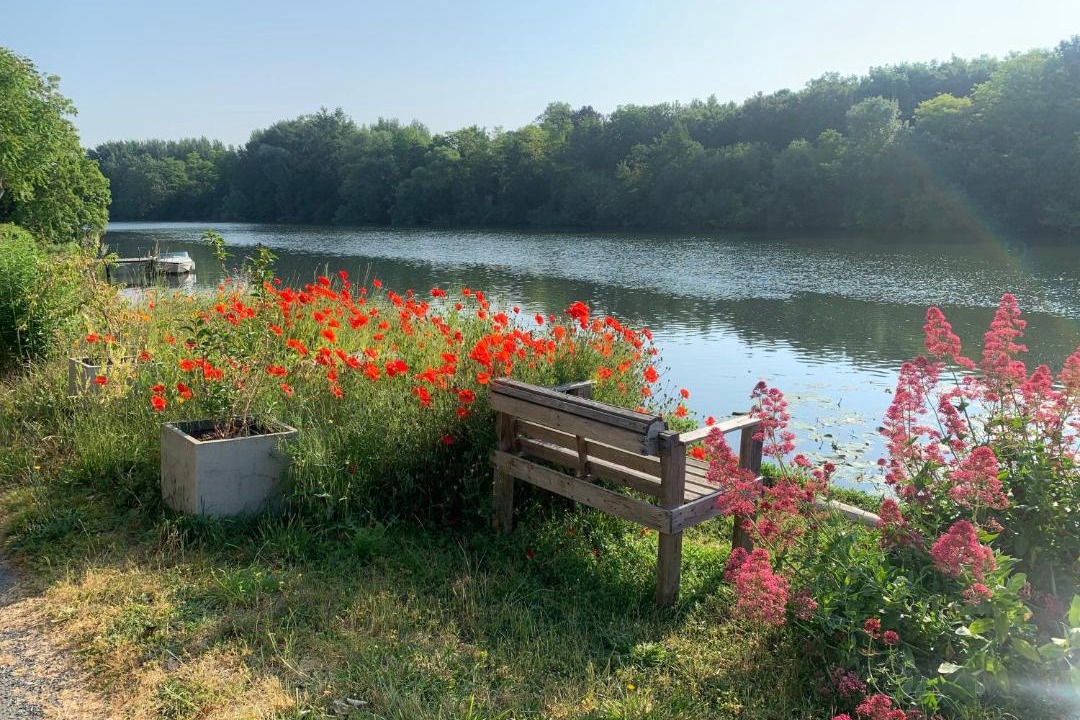 Photo of Others in Porte-Joie