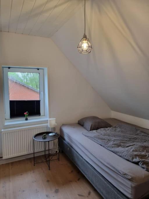 Photo of Others in Skaerbaek
