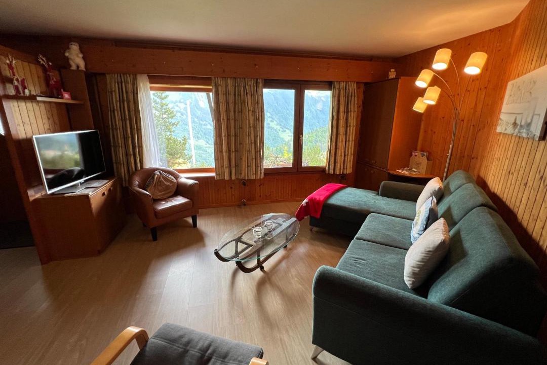 Photo of Others in Leysin