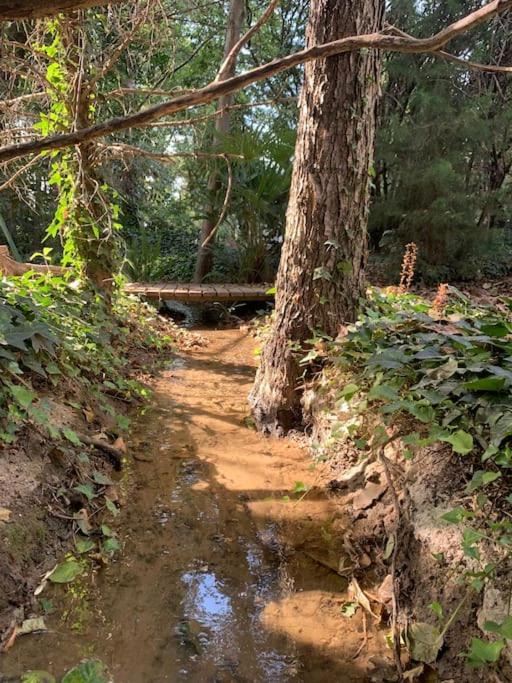 Photo of Others in Thuir