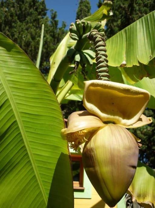 Photo of Others in Thuir