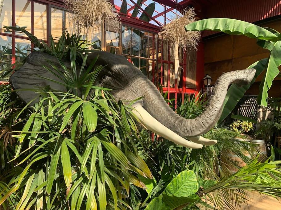 Photo of Others in Thuir