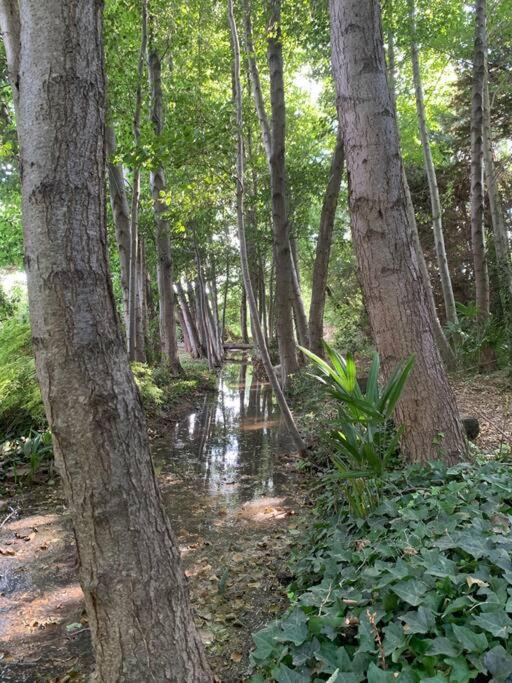 Photo of Others in Thuir