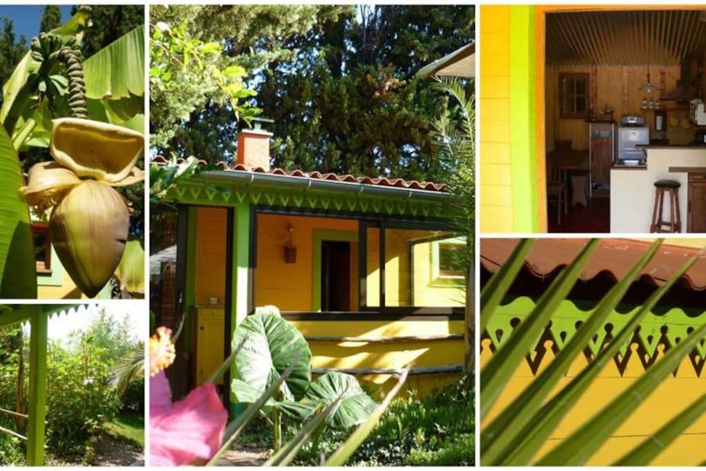 Photo of Others in Thuir