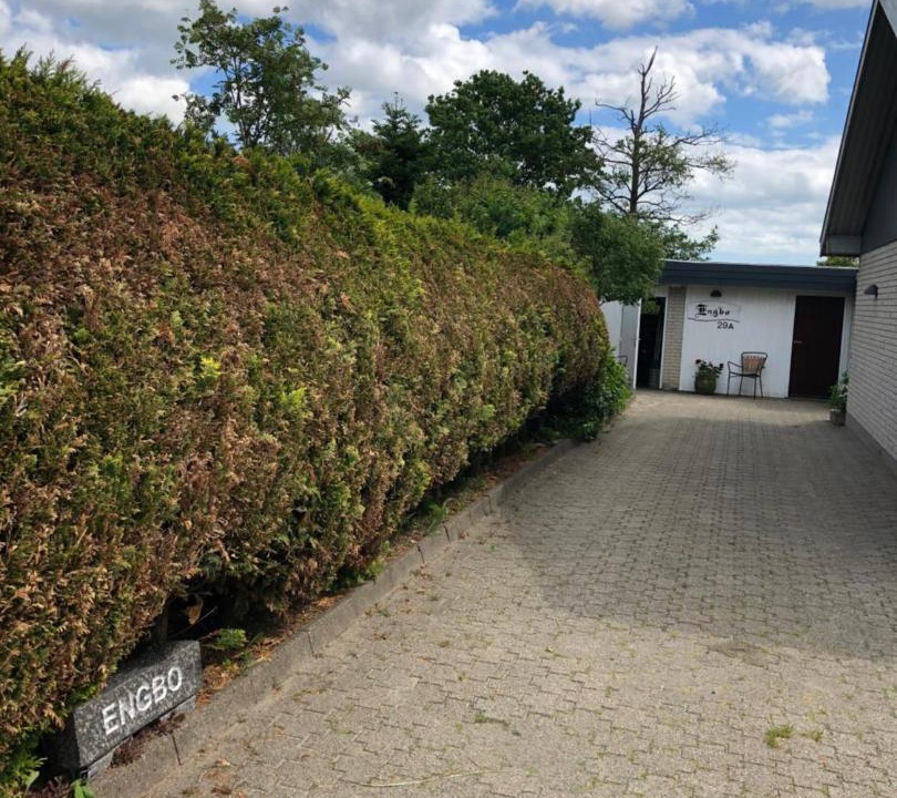 Photo of Others in Sindal