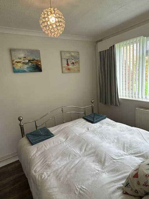 Photo of Others in Freshwater