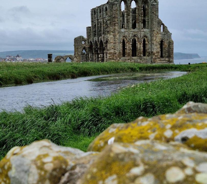 Photo of Others in Whitby