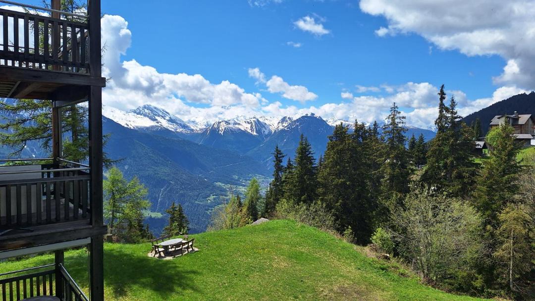 Photo of Others in Riederalp
