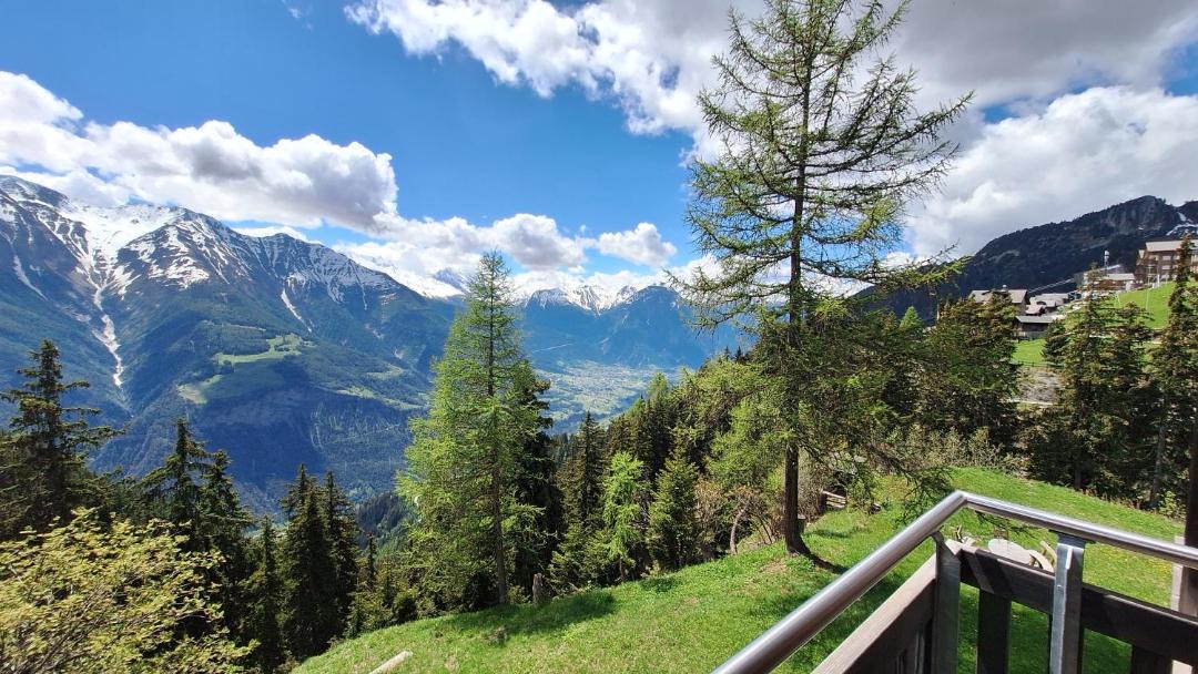 Photo of Others in Riederalp