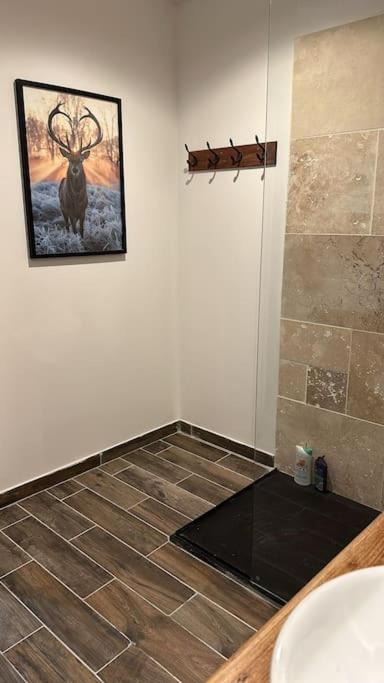 Photo of Others in L'Hospitalet-pres-l'Andorre