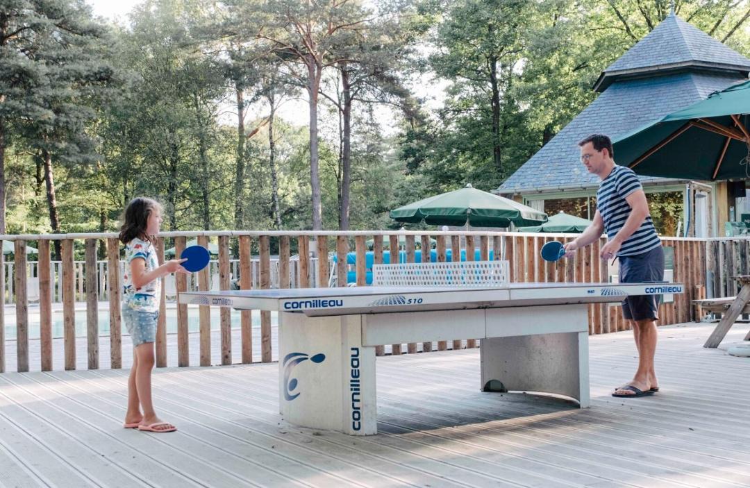 Photo of Others in Sille-le-Guillaume