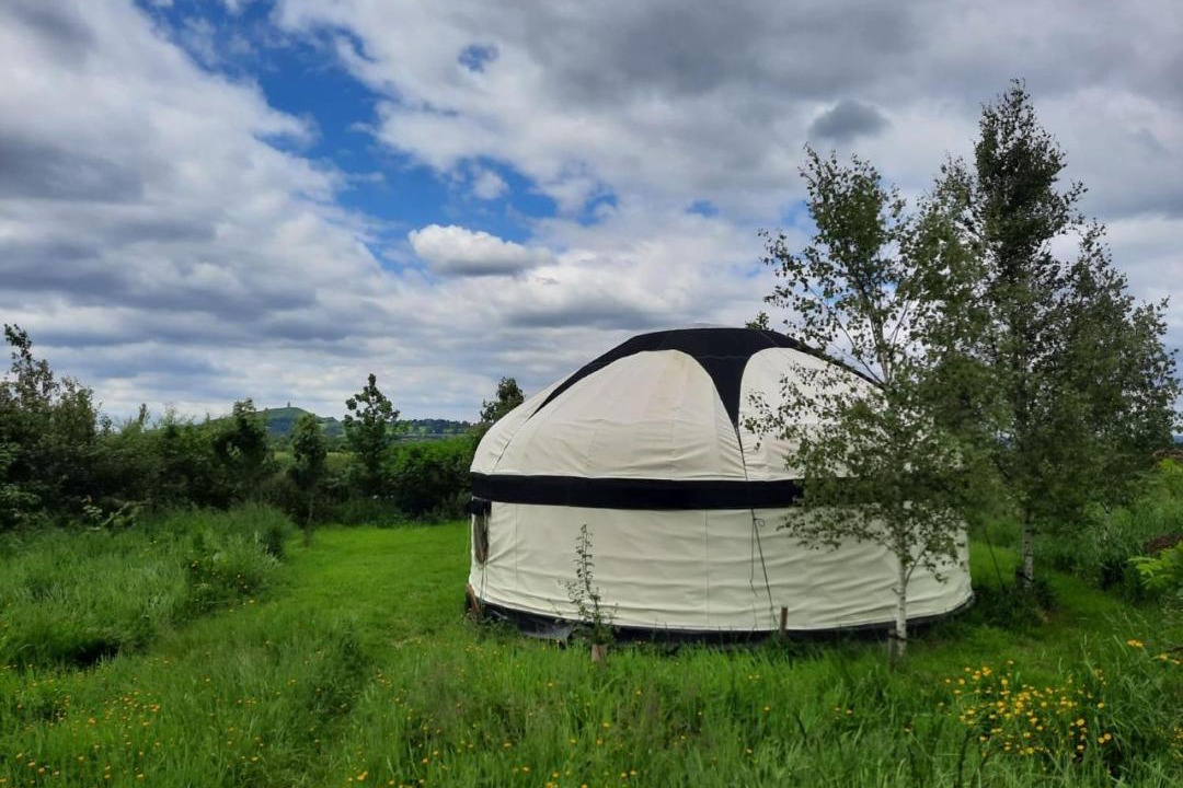 Photo of Others in Glastonbury