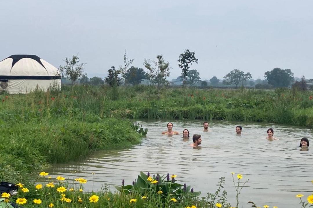 Photo of Others in Glastonbury
