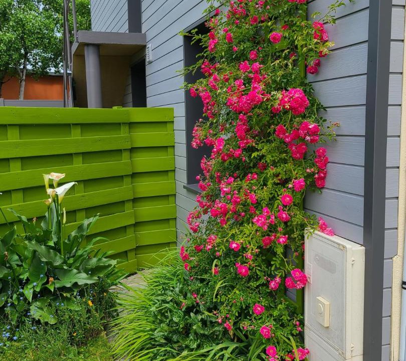 Photo of Others in Blain