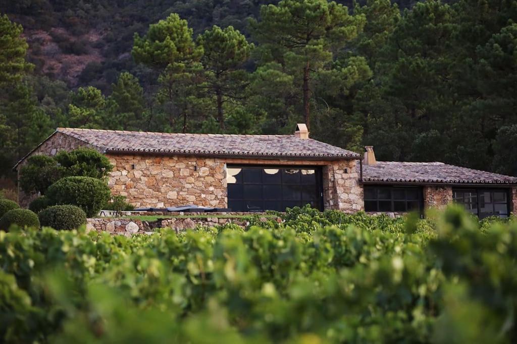 Photo of Others in Bormes-Les-Mimosas