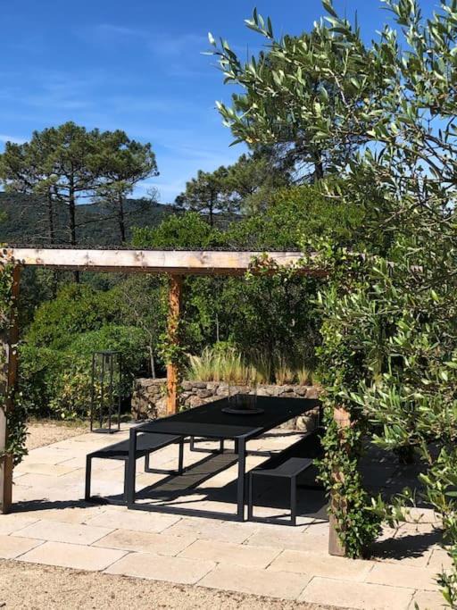 Photo of Others in Bormes-Les-Mimosas