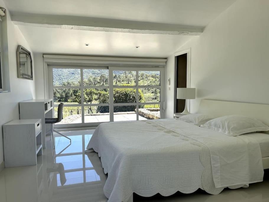 Photo of Others in Bormes-Les-Mimosas