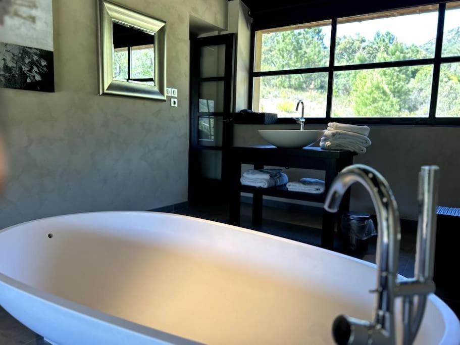 Photo of Others in Bormes-Les-Mimosas