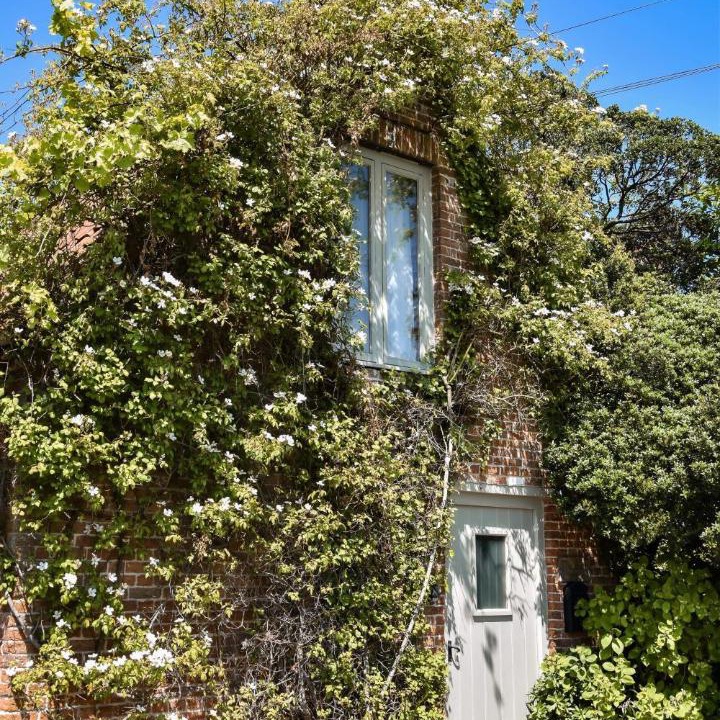 Photo of Others in Highbridge