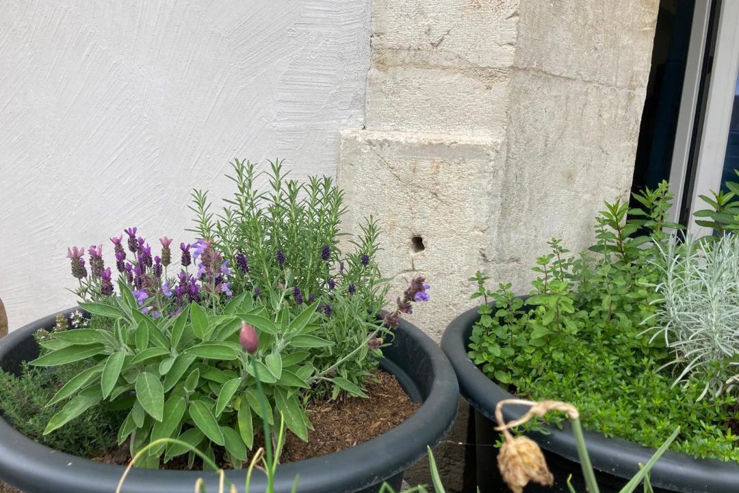 Photo of Others in Gimel