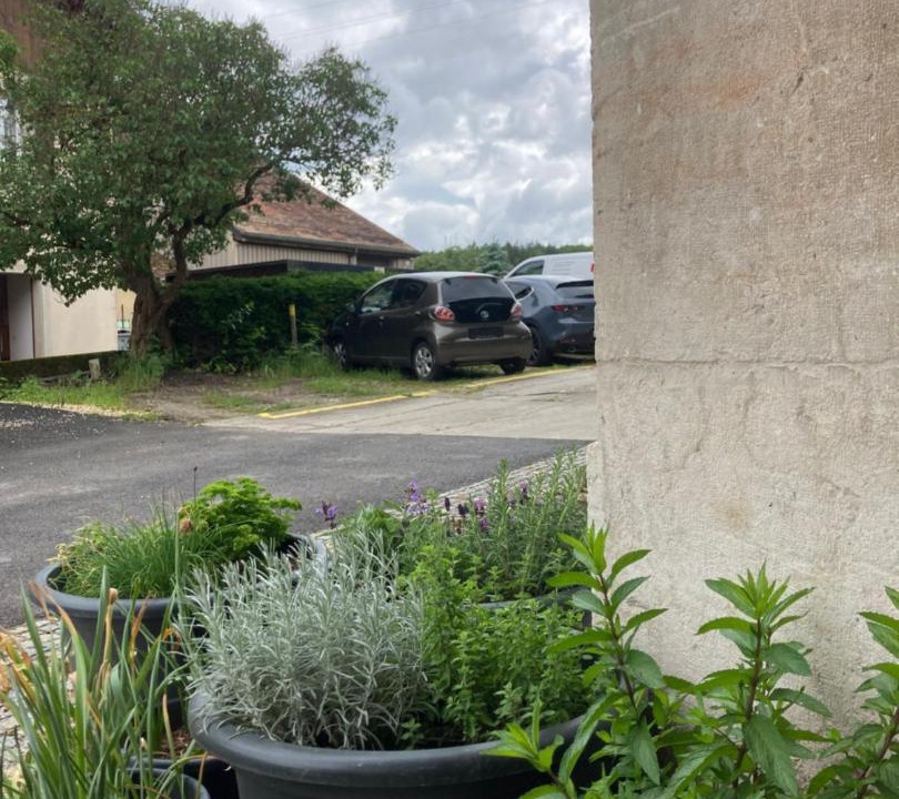 Photo of Others in Gimel