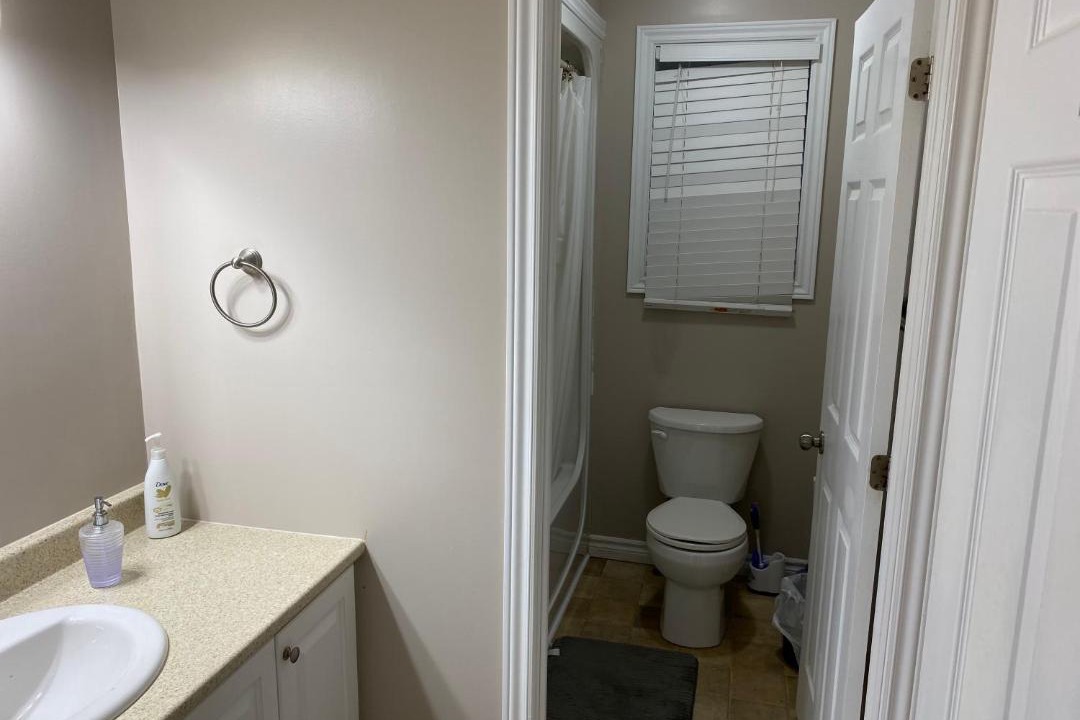 Photo of Others in Kingston