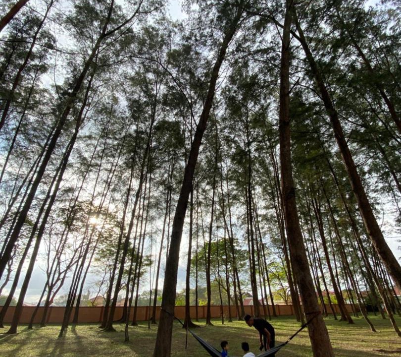 Photo of Others in Kampung Sura Masjid