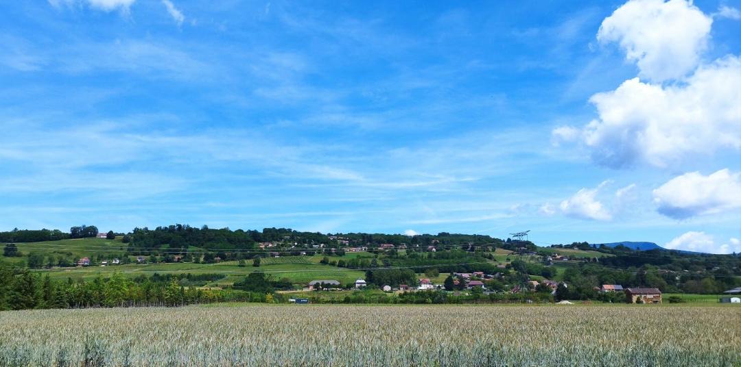 Photo of Others in Belmont-Tramonet