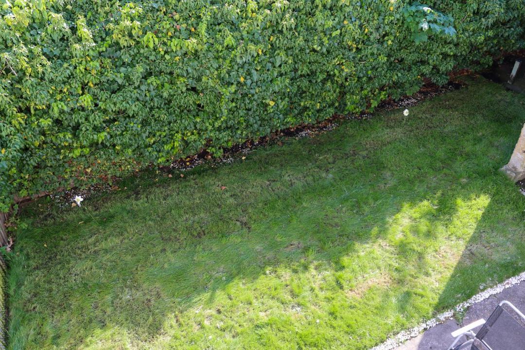 Photo of Others in Richmond-upon-Thames