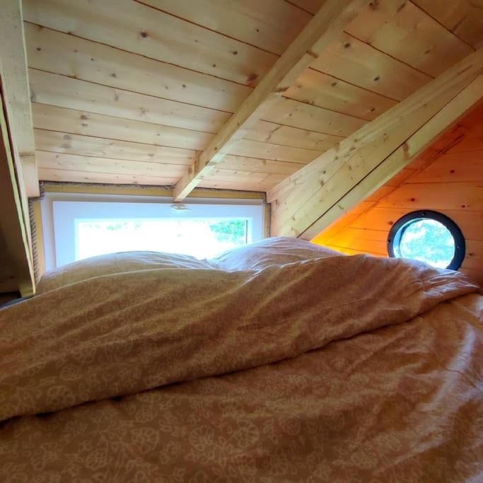 Photo of Others in Questembert