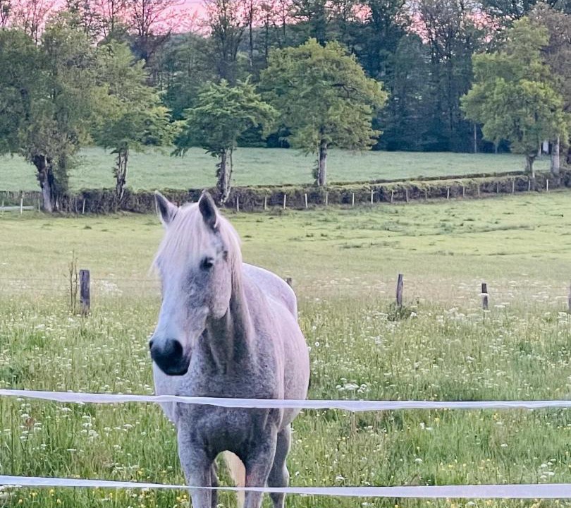 Photo of Others in Thalamy