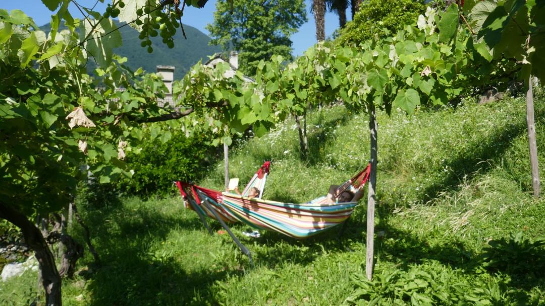 Photo of Others in Mergoscia