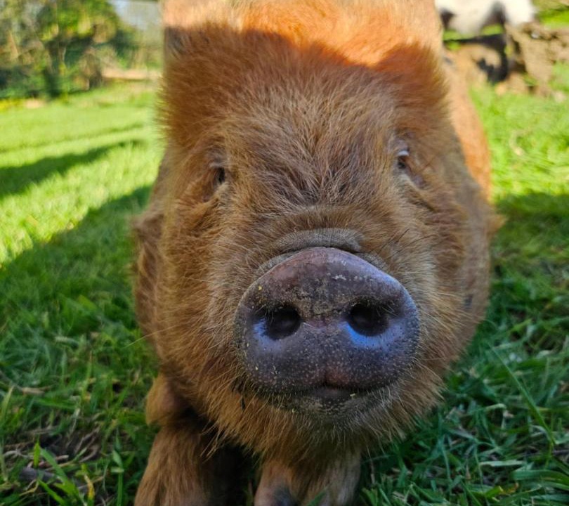 Photo of Others in Gouezec