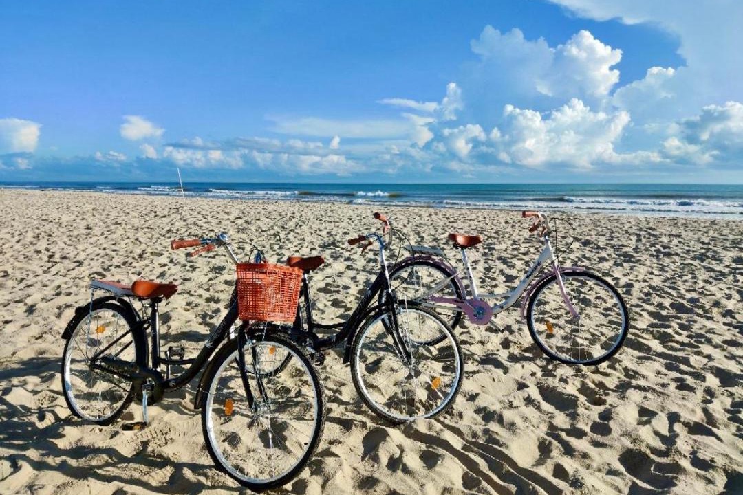 Photo of Others in Kampung Aur