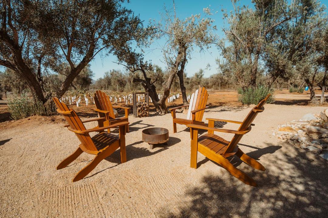 Photo of Others in Valle de Guadalupe
