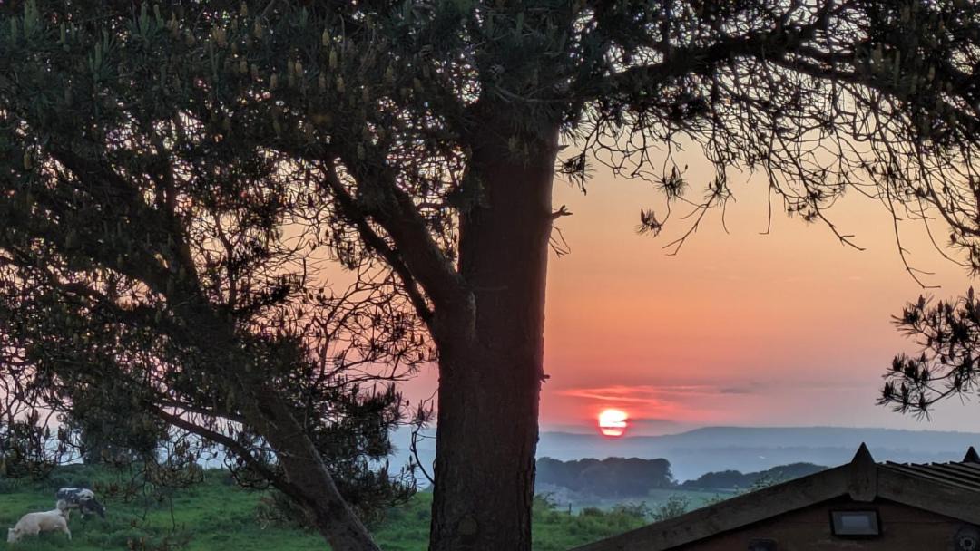 Photo of Others in Hepworth