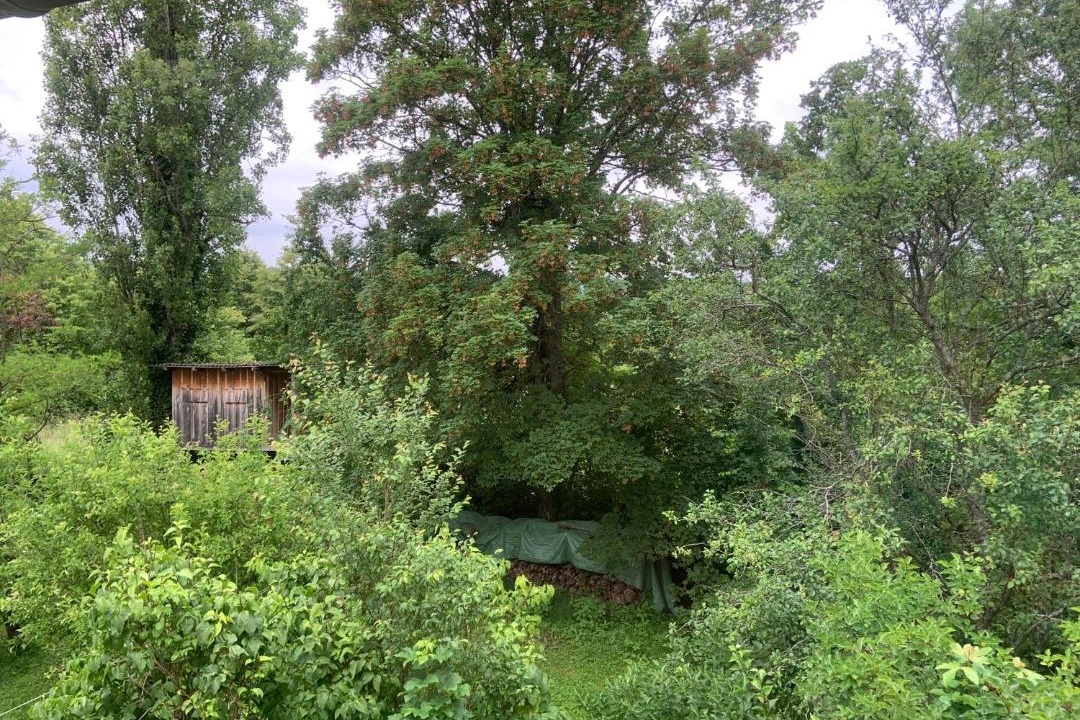 Photo of Others in Ozenay