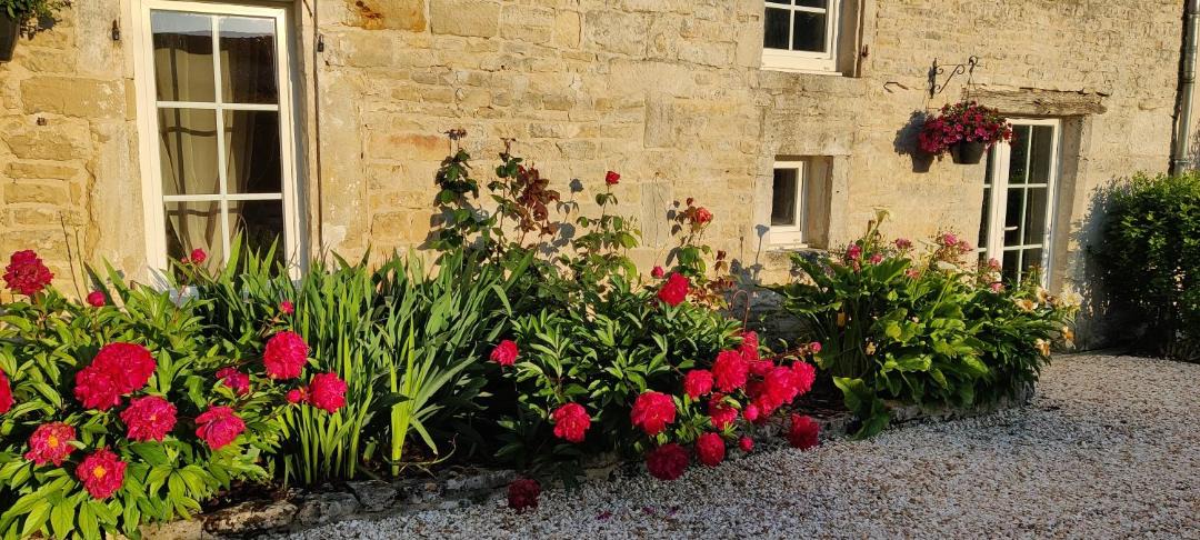 Photo of Others in Courbillac