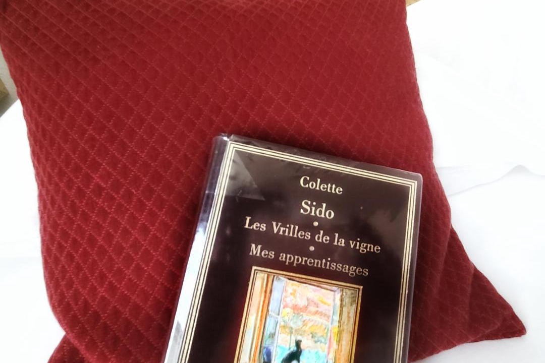 Photo of Others in La Charite-sur-Loire