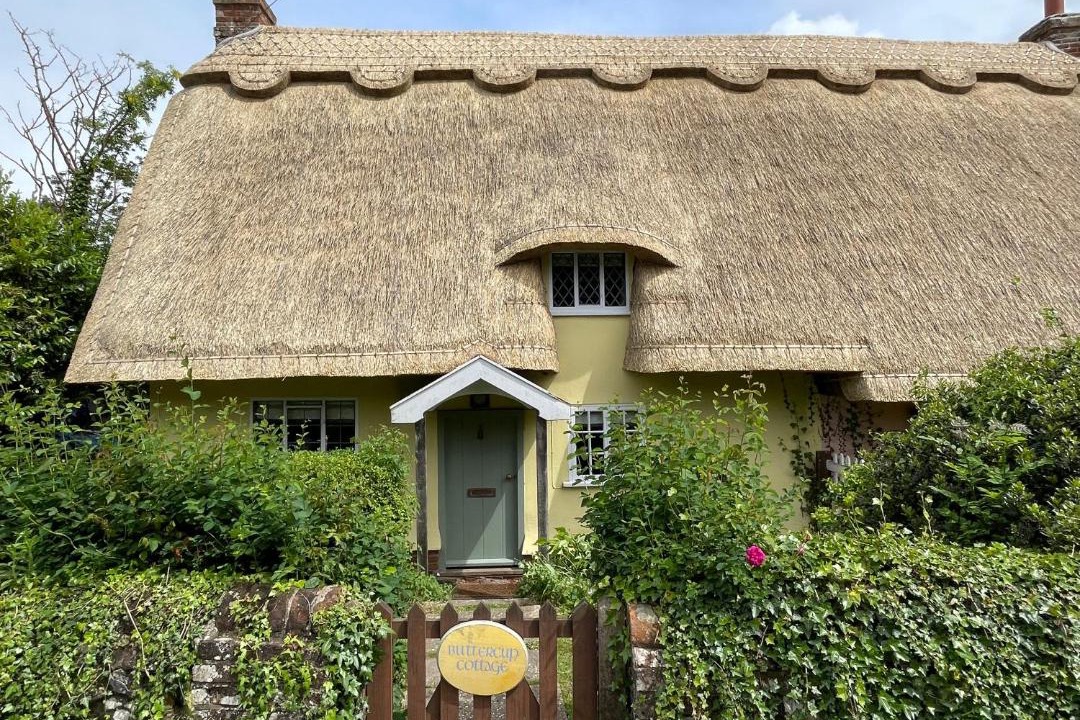 Photo of Others in Hartest