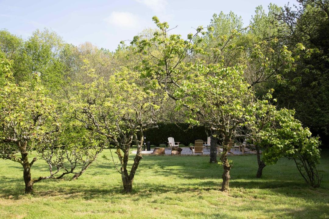 Photo of Others in Samer