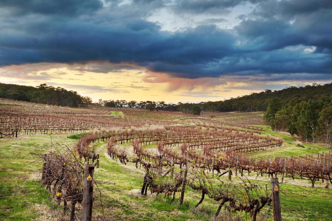 Photo of Others in Clare