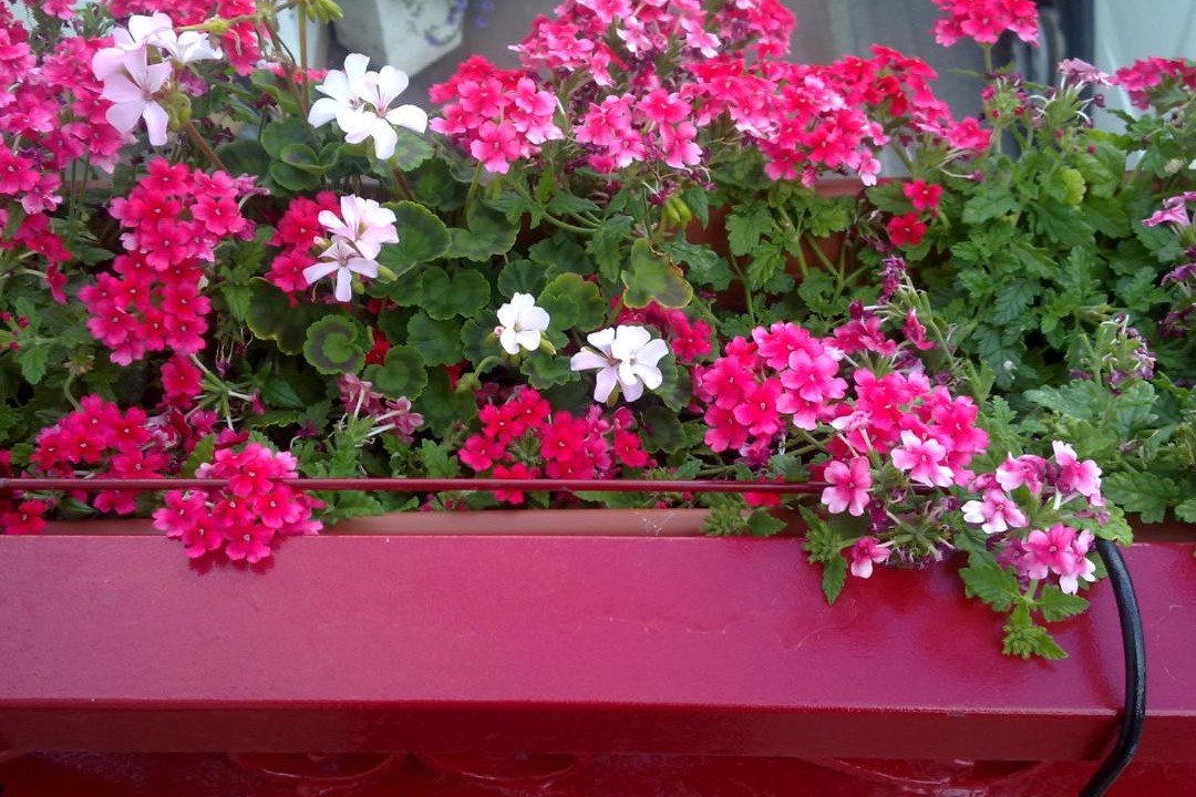 Photo of Others in Douvaine