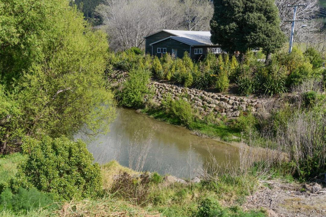 Photo of Others in Waimarama