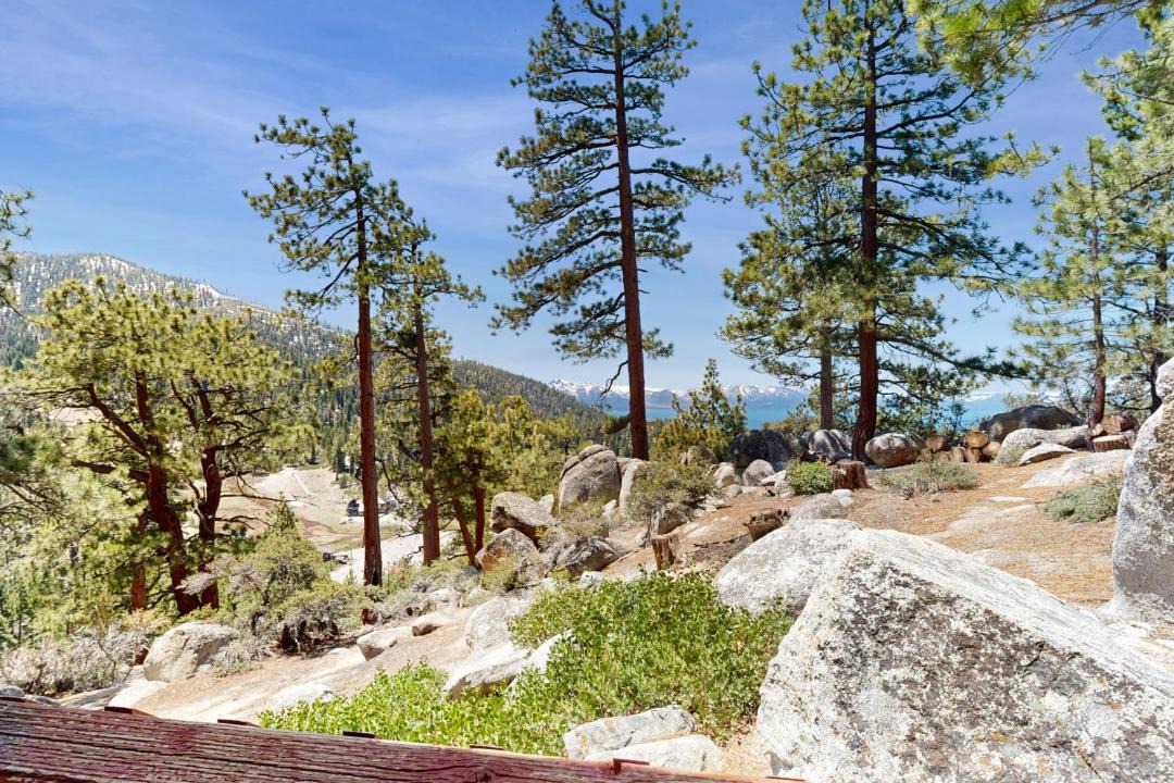Photo of Others in Tahoe Village