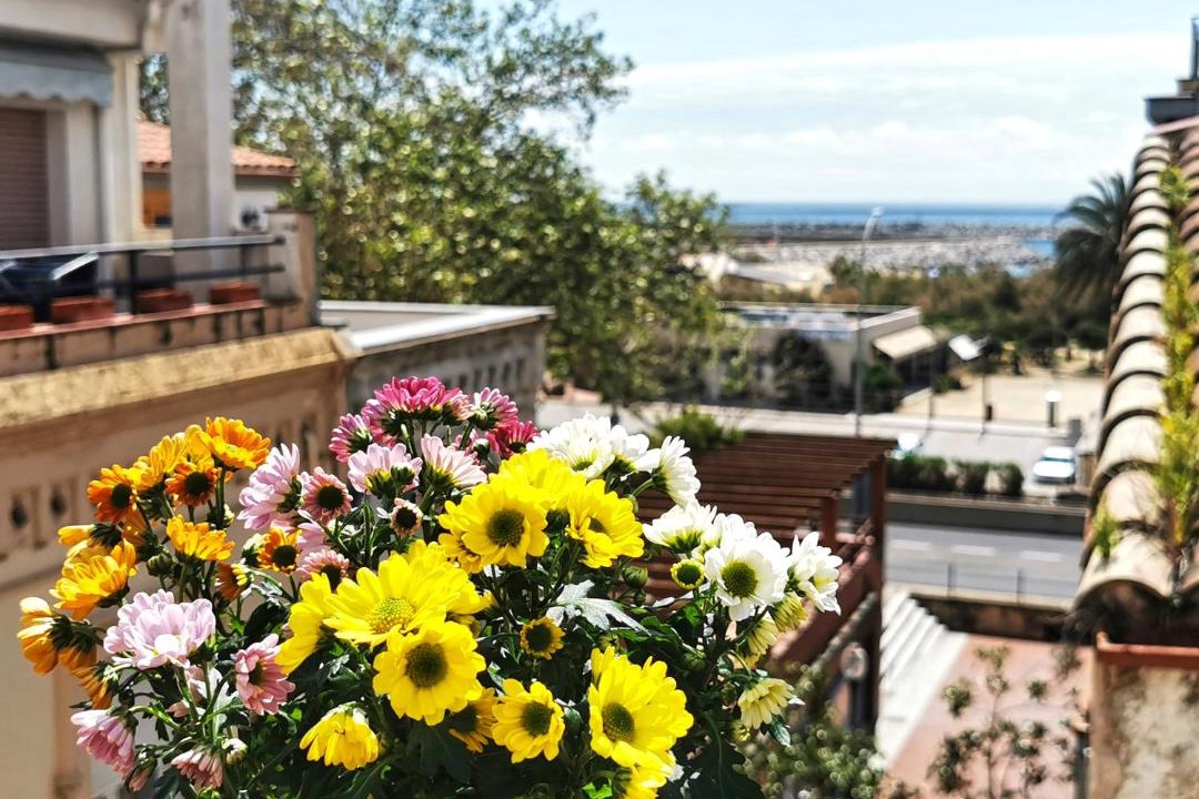 Photo of Others in Arenys de Mar