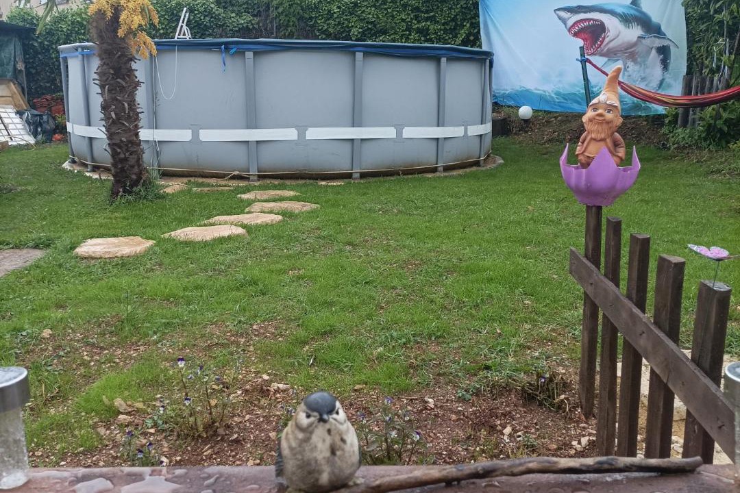 Photo of Others in Ruffec